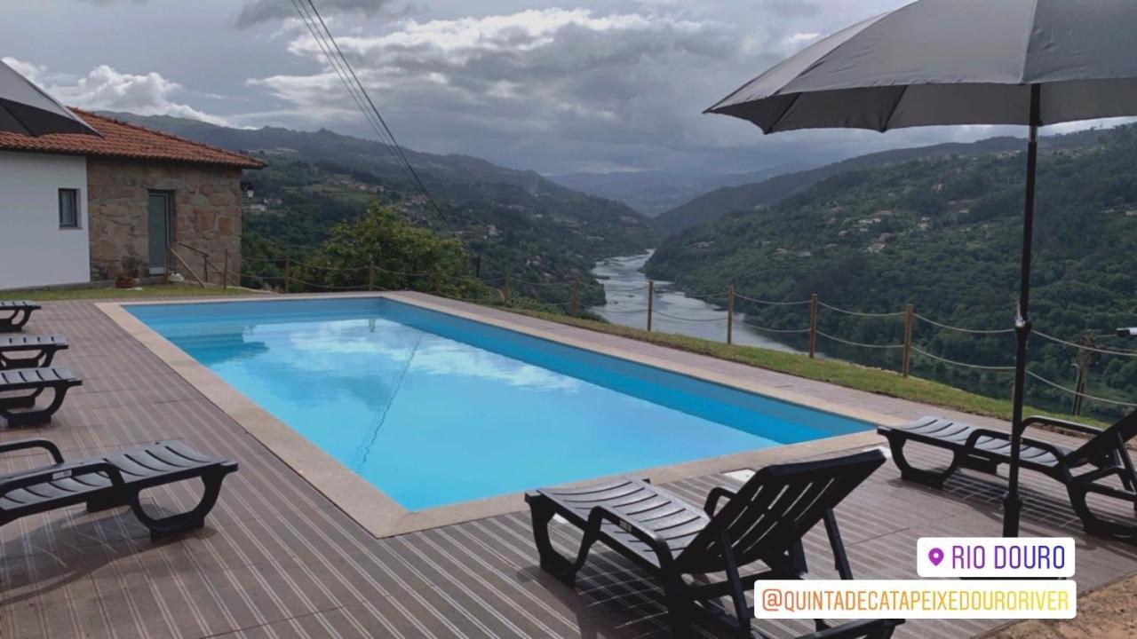 Quinta De Catapeixe Douro River Magrelos المظهر الخارجي الصورة
