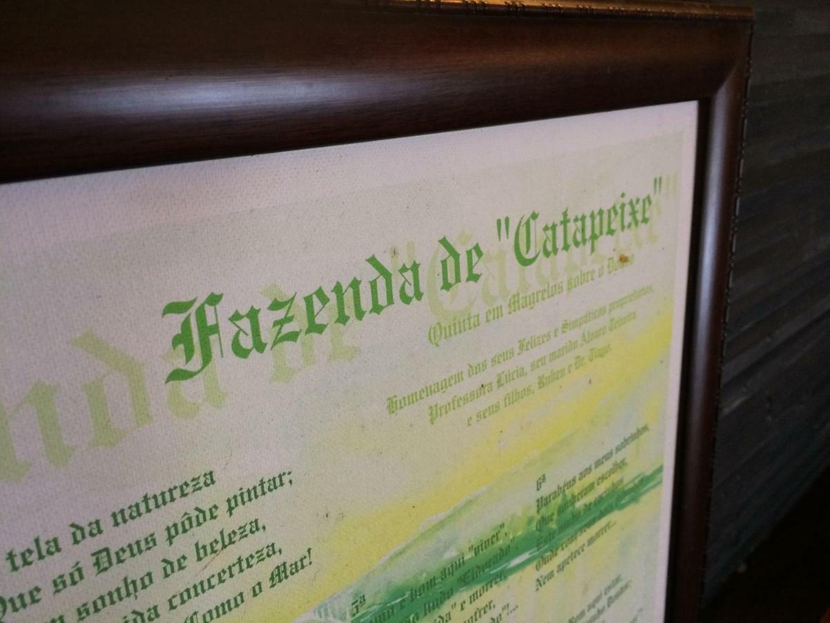 Quinta De Catapeixe Douro River Magrelos المظهر الخارجي الصورة