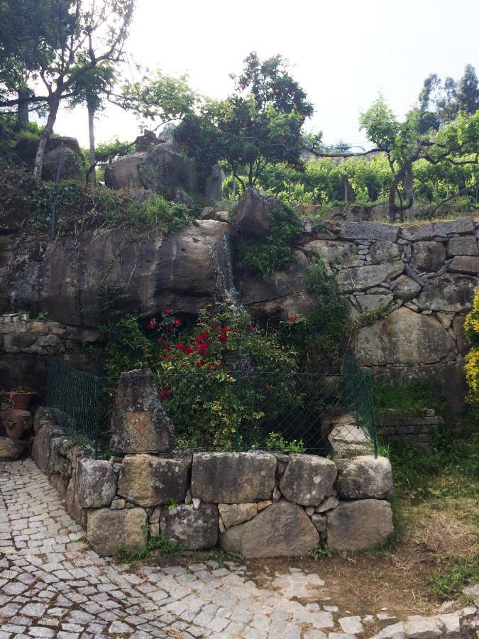 Quinta De Catapeixe Douro River Magrelos المظهر الخارجي الصورة
