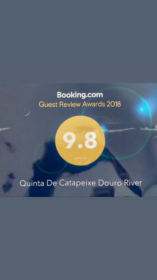 Quinta De Catapeixe Douro River Magrelos المظهر الخارجي الصورة
