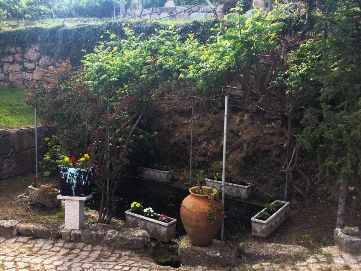 Quinta De Catapeixe Douro River Magrelos المظهر الخارجي الصورة